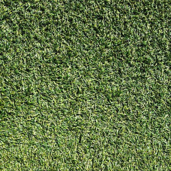 grass-texture-background_23-2147960302